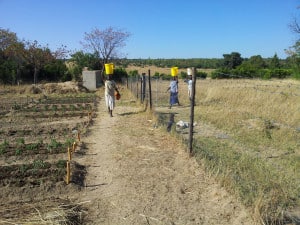 hearts-and-hands1-300x225