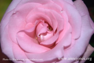 open-your-heart-300x201