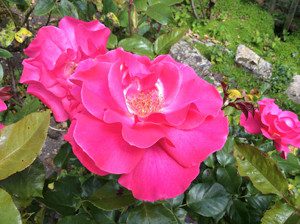 What happens when we die?