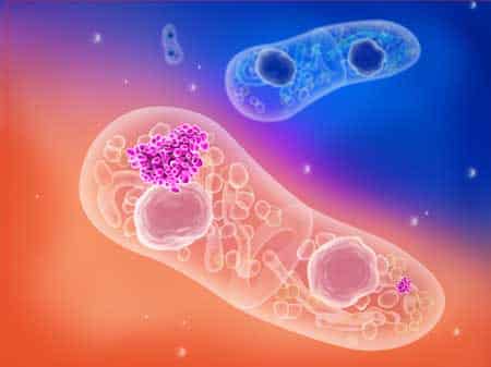 Awaken Your Cellular Memory