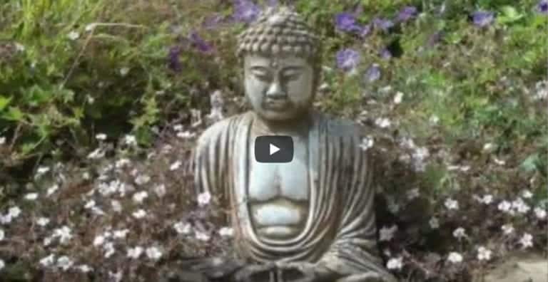 Relax & Let go of Fears & Worries