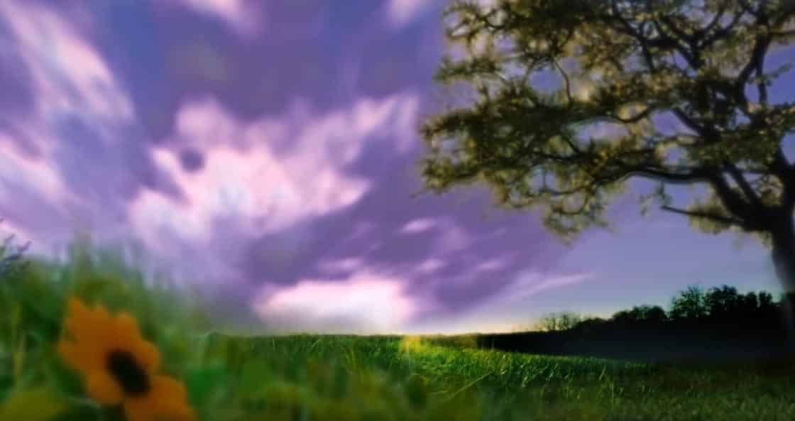 Healing and Meditation to Clear Anger